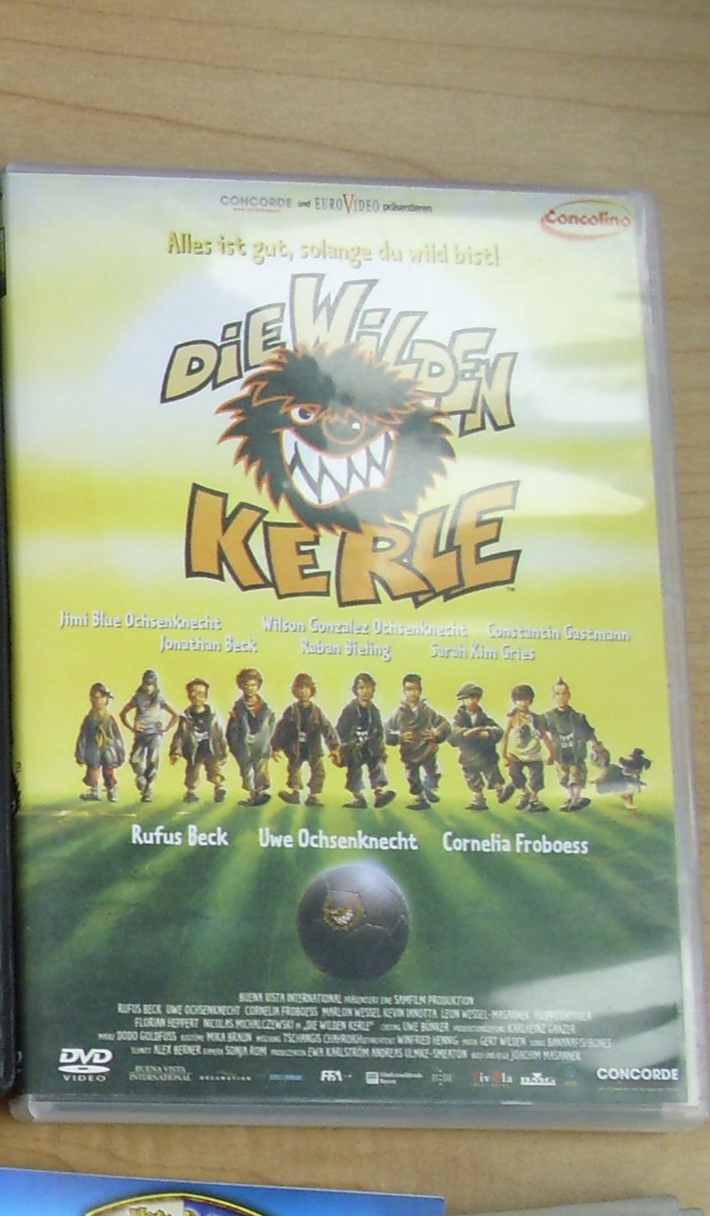 Die Wilden Kerle, DVD