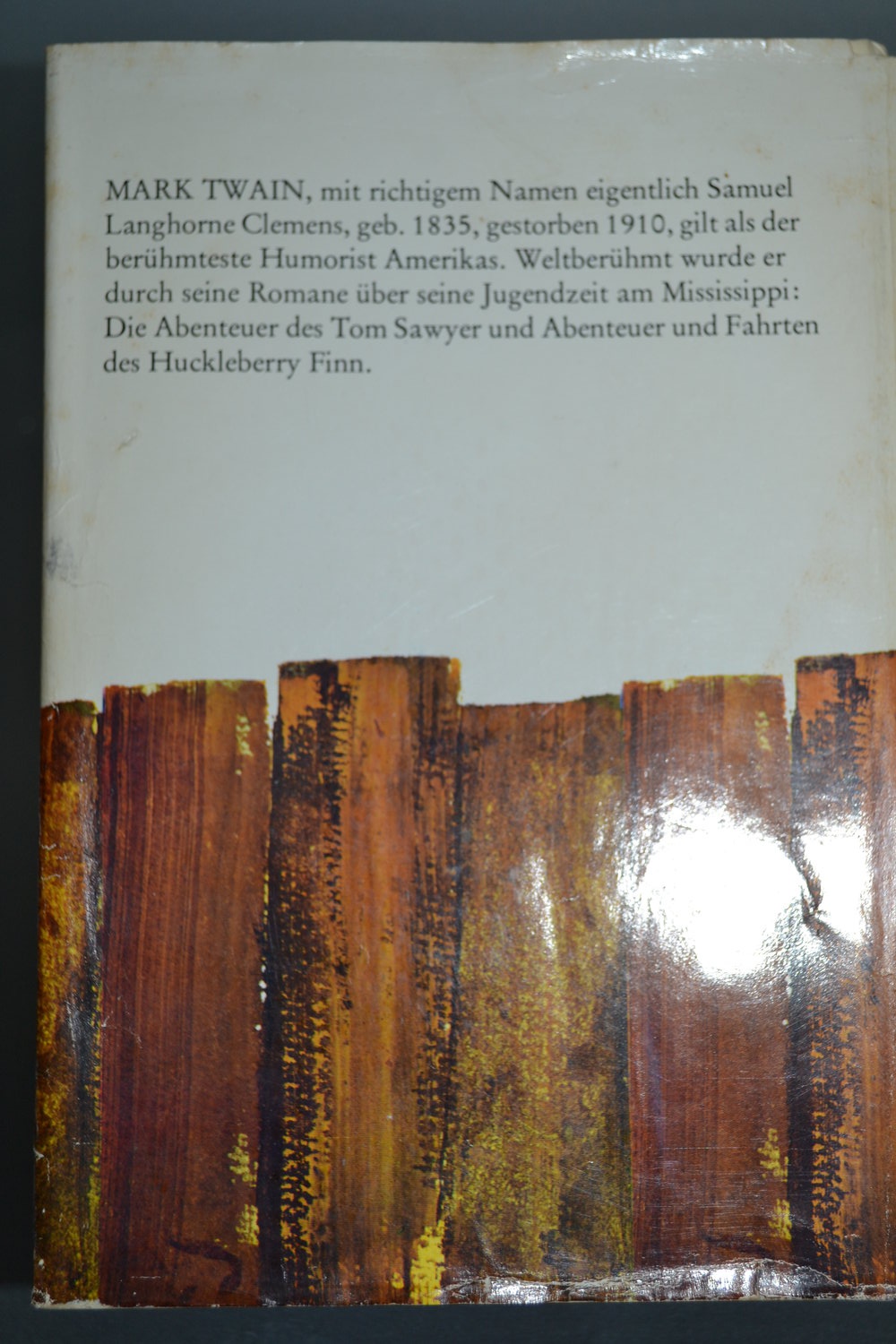 Tom Sawyer und Huckleberry Finn, Jungenbuch, Jugendbuch, Literatur, Jugendliteratur