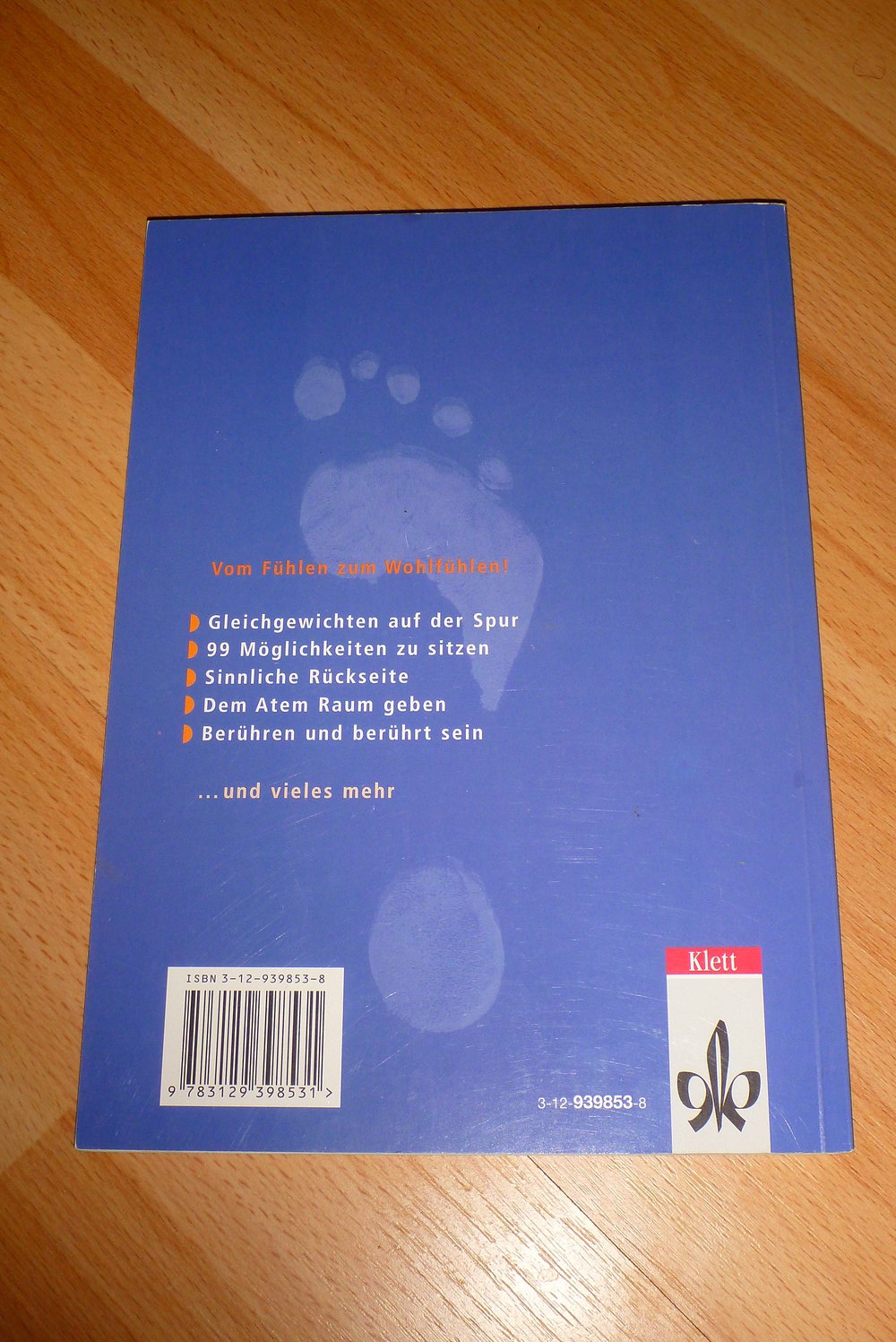 Buch: Wie geht´s, wie steht´s ? - Körpererfahrung im Alltag