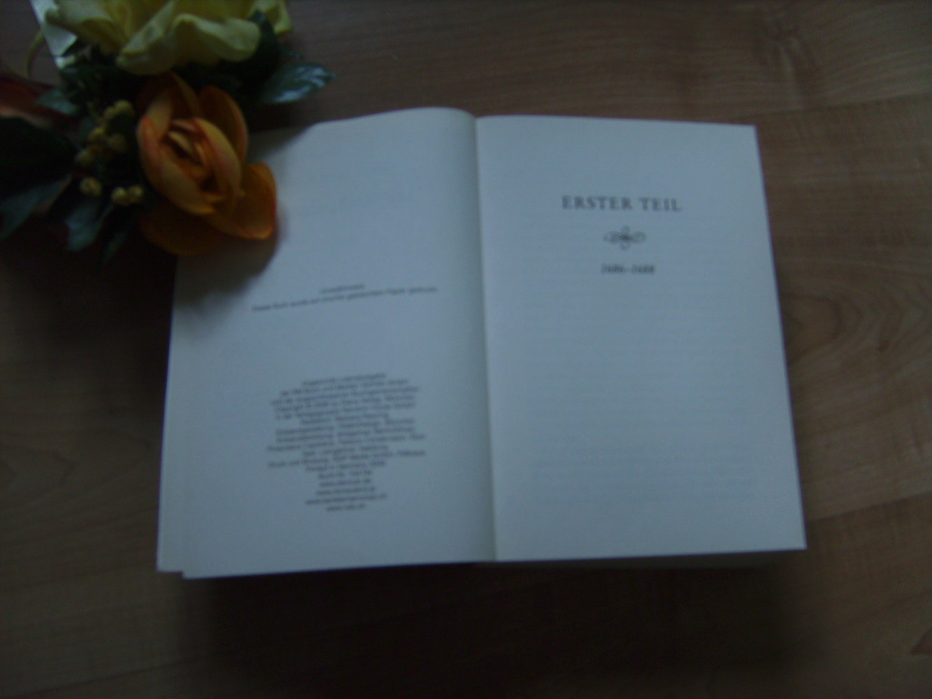 Historienroman, Die Kalligraphin, Dokumentenfälscherin, Sklavin 16. Jhrt., Kirsten Schützhofer