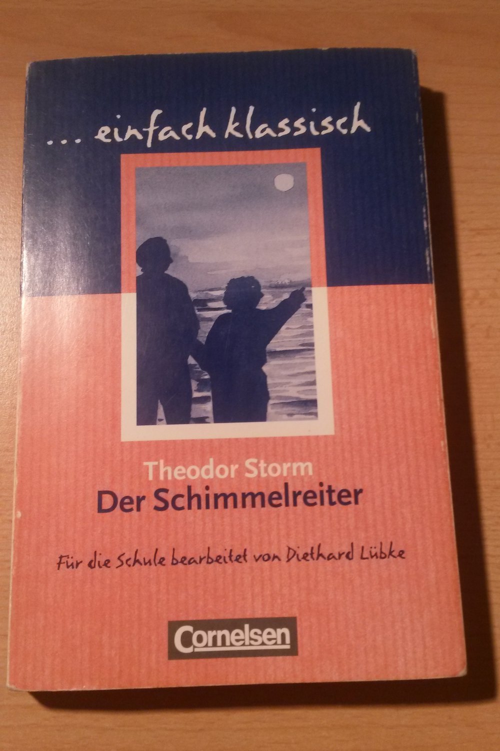 Der Schimmelreiter (Buch)