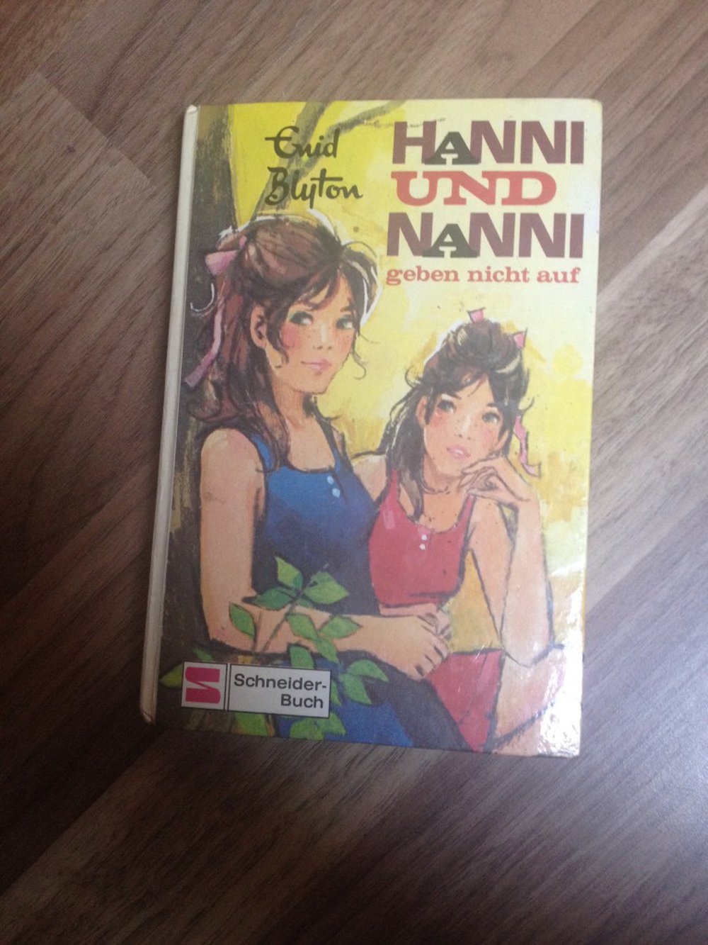 Hanni und Nanni geben nicht auf