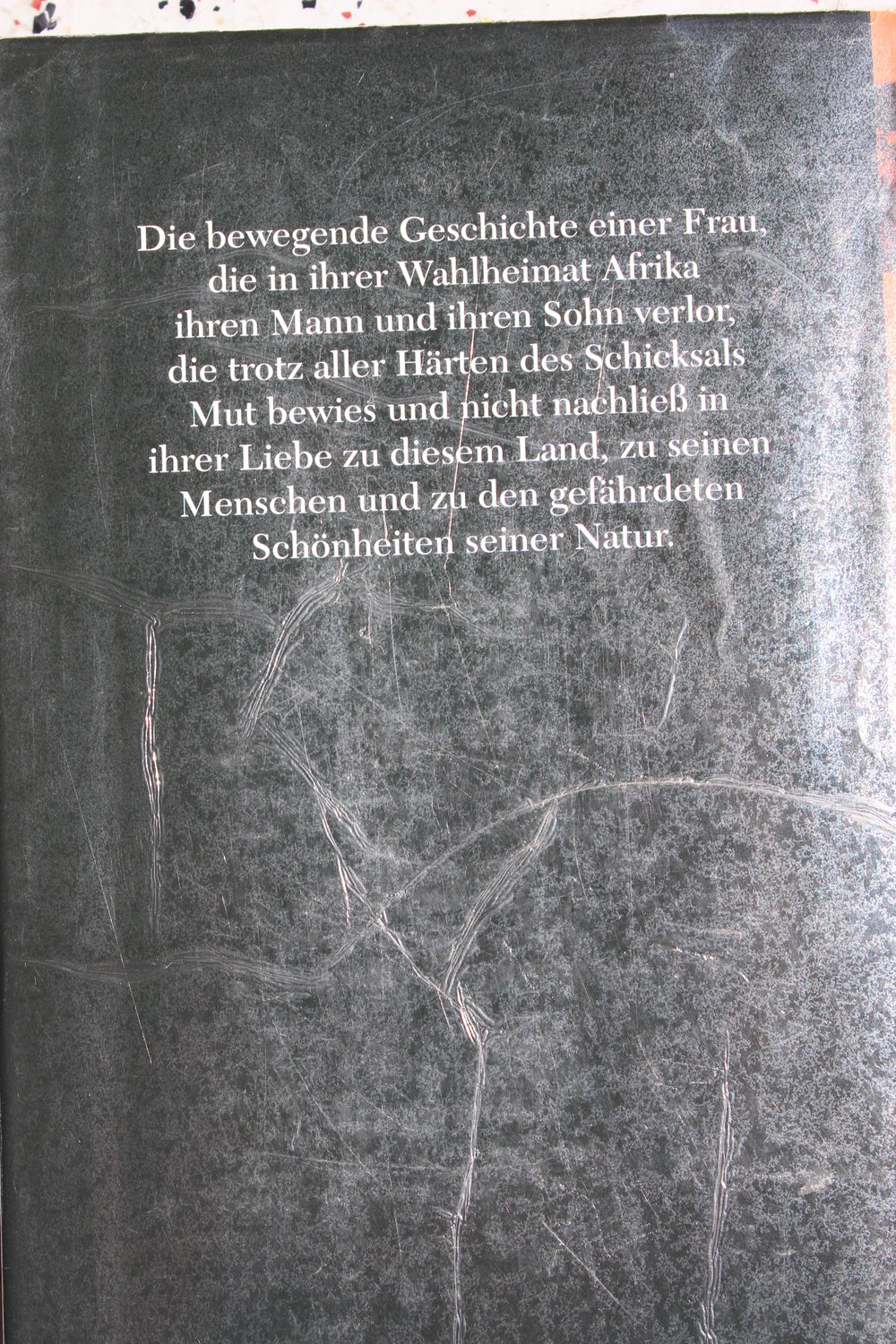 Ich träumte von Afrika - Kuki Gallmann