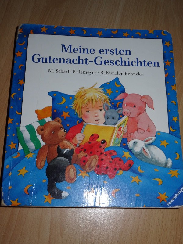 Meine ersten Gute-Nacht-Geschichten 