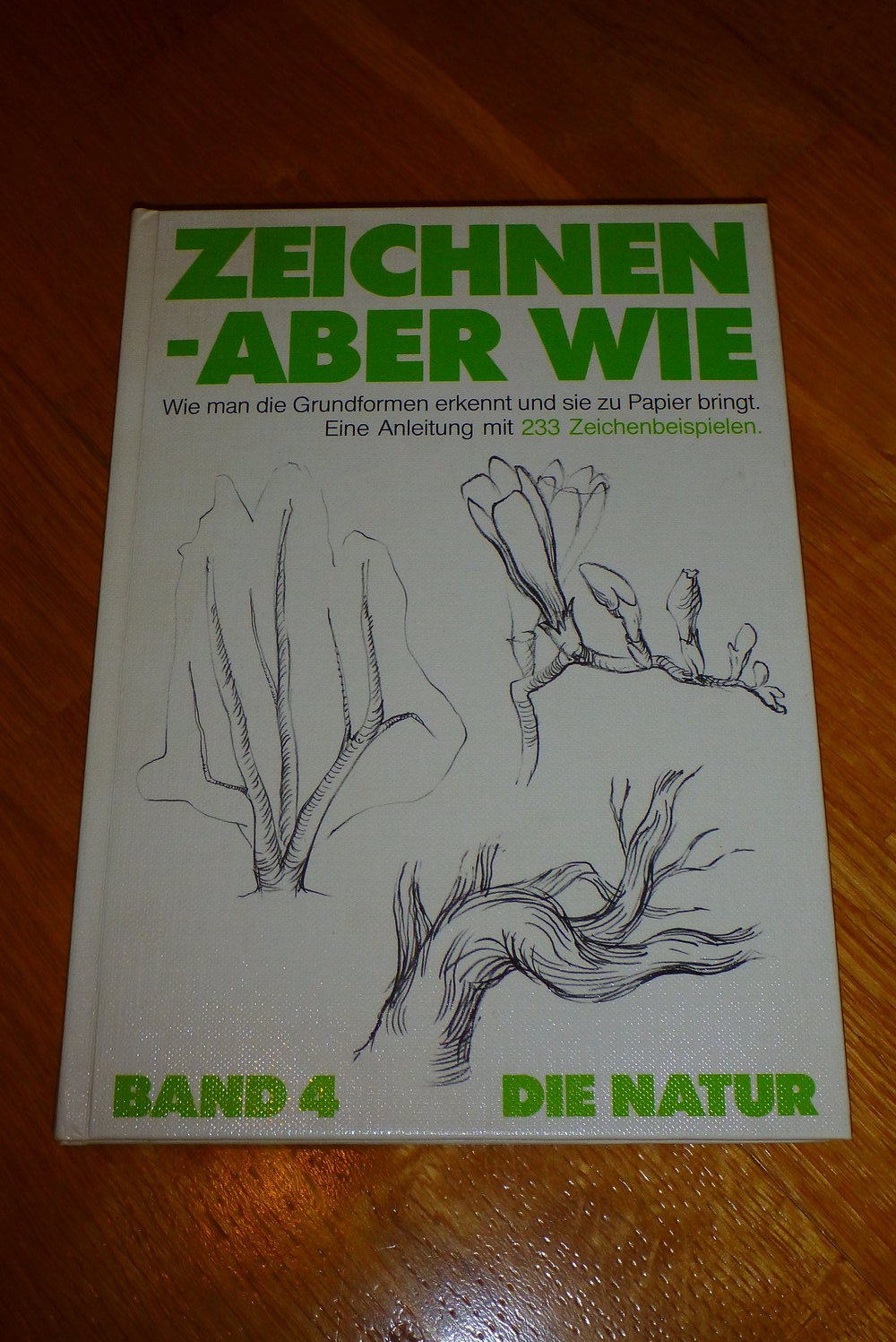 Buch: Zeichnen - aber wie