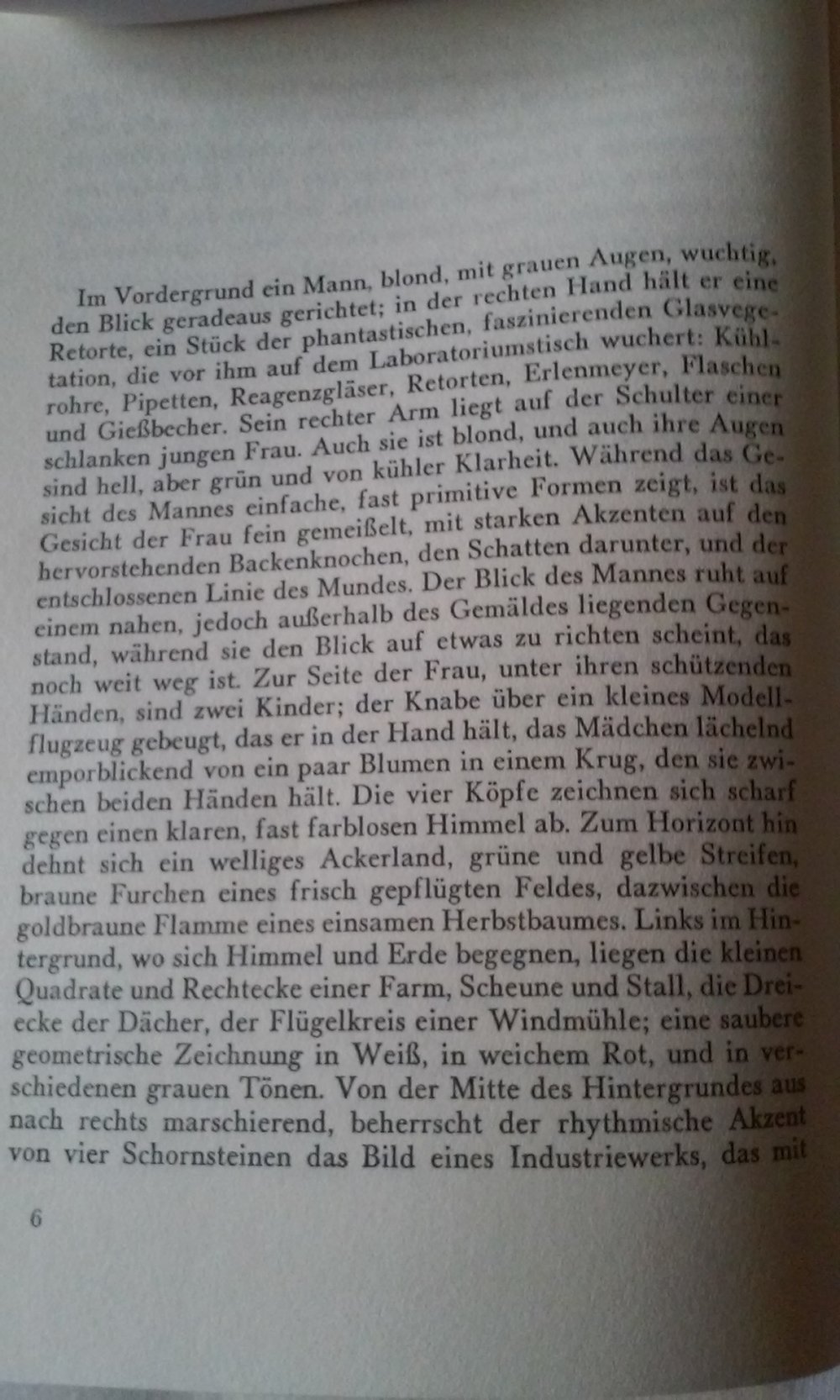 Amerikanisches Familienporträt  aus dem Roman  Rarität