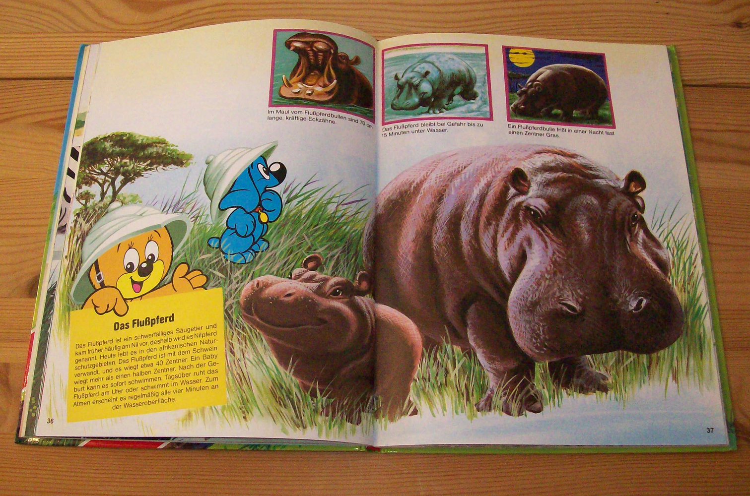 Bussi Bär -Buch- Die Tierwelt kennenlernen