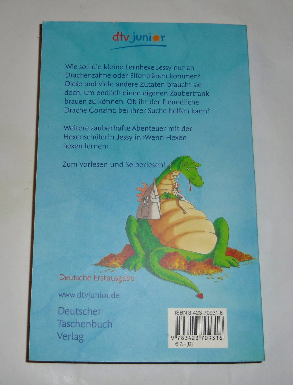 Wenn Hexen immer besser hexen-Taschenbuch 