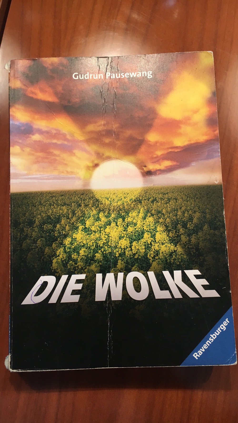 Die Wolke 