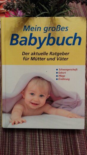 Elternratgeber: Mein großes Babybuch
