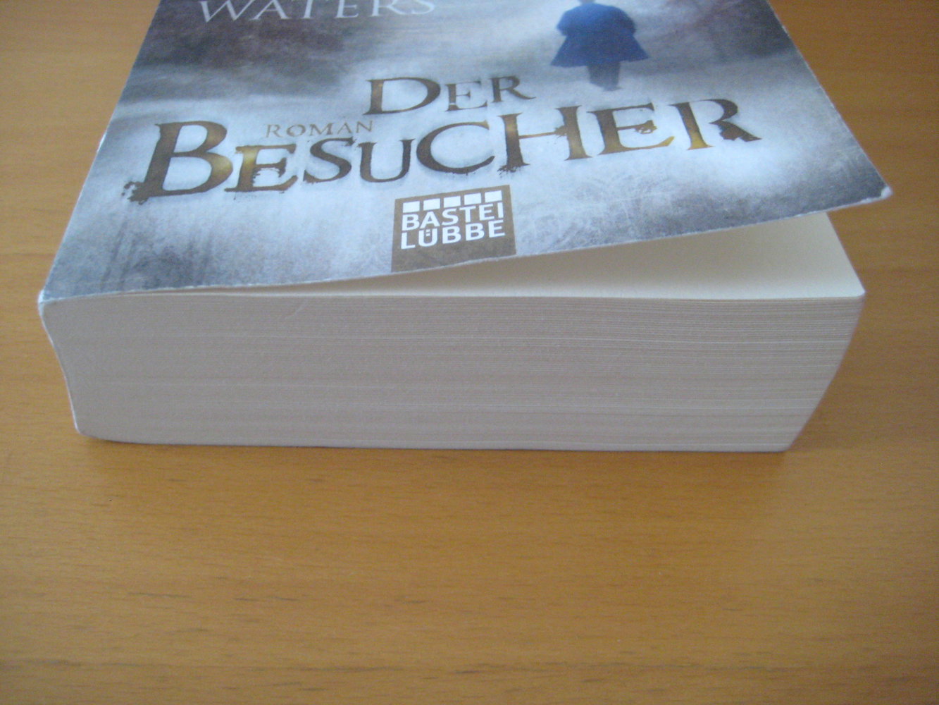 Der Besucher