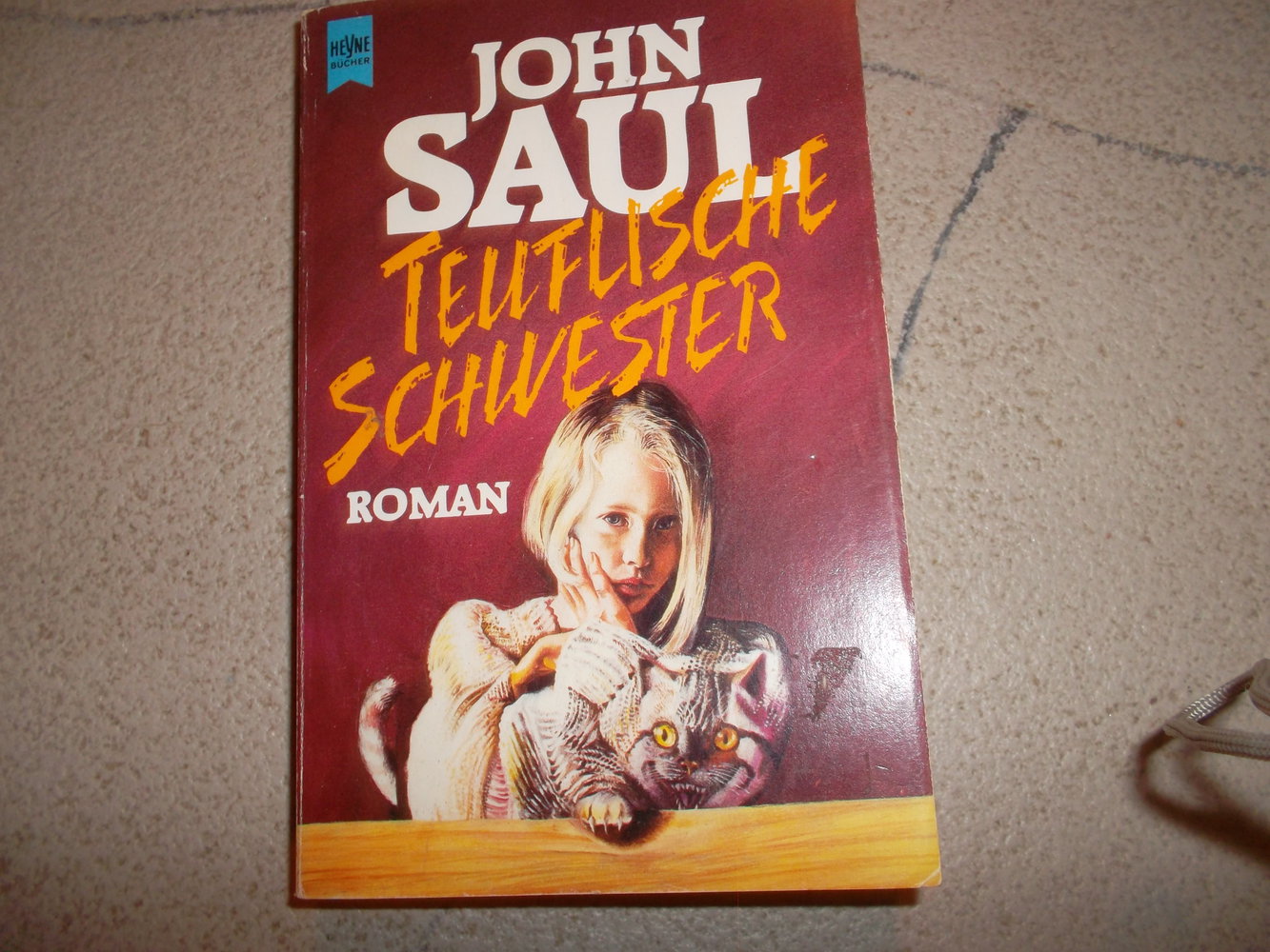 buch,john saul,teuflische schwestern