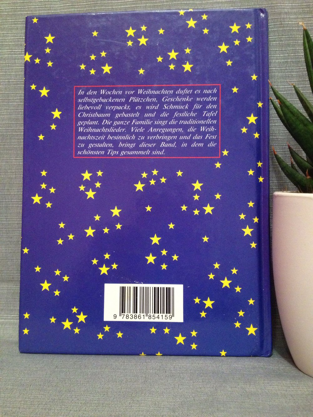 Das große Weihnachtsbuch 