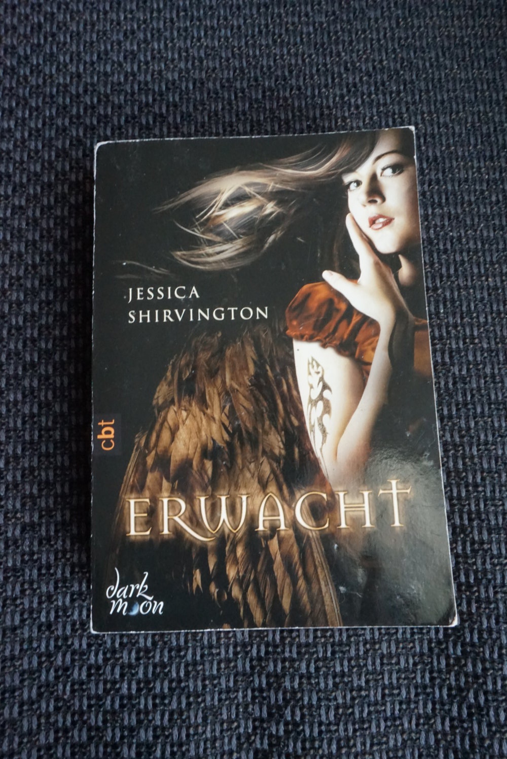 Erwacht: Band 1
