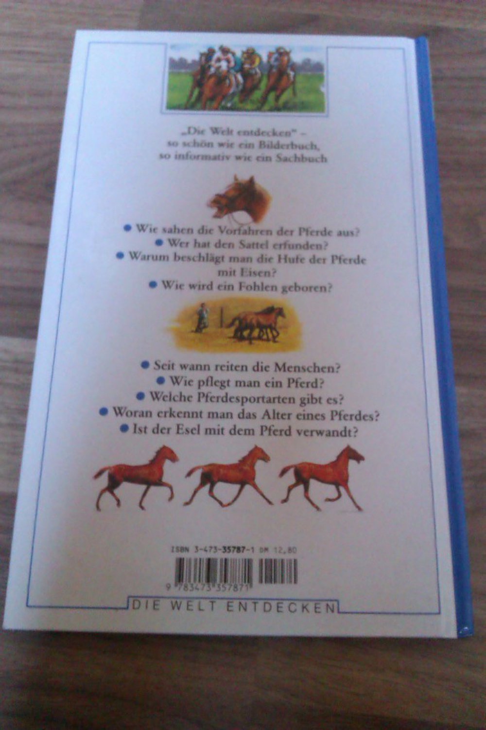 Aufs Pferd!