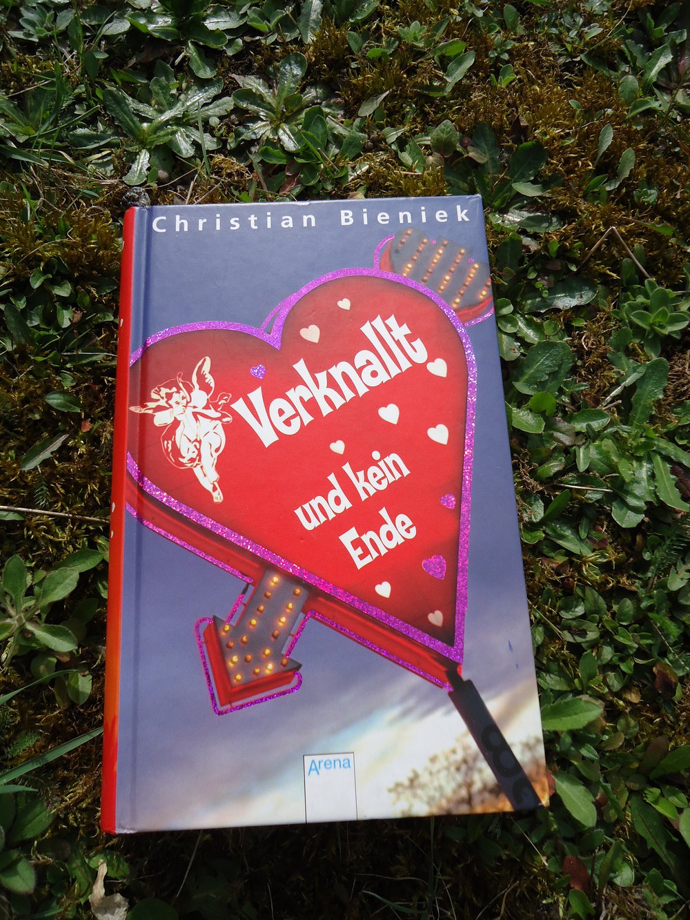 Verknallt und kein Ende von Christian Bieniek (Autor) 