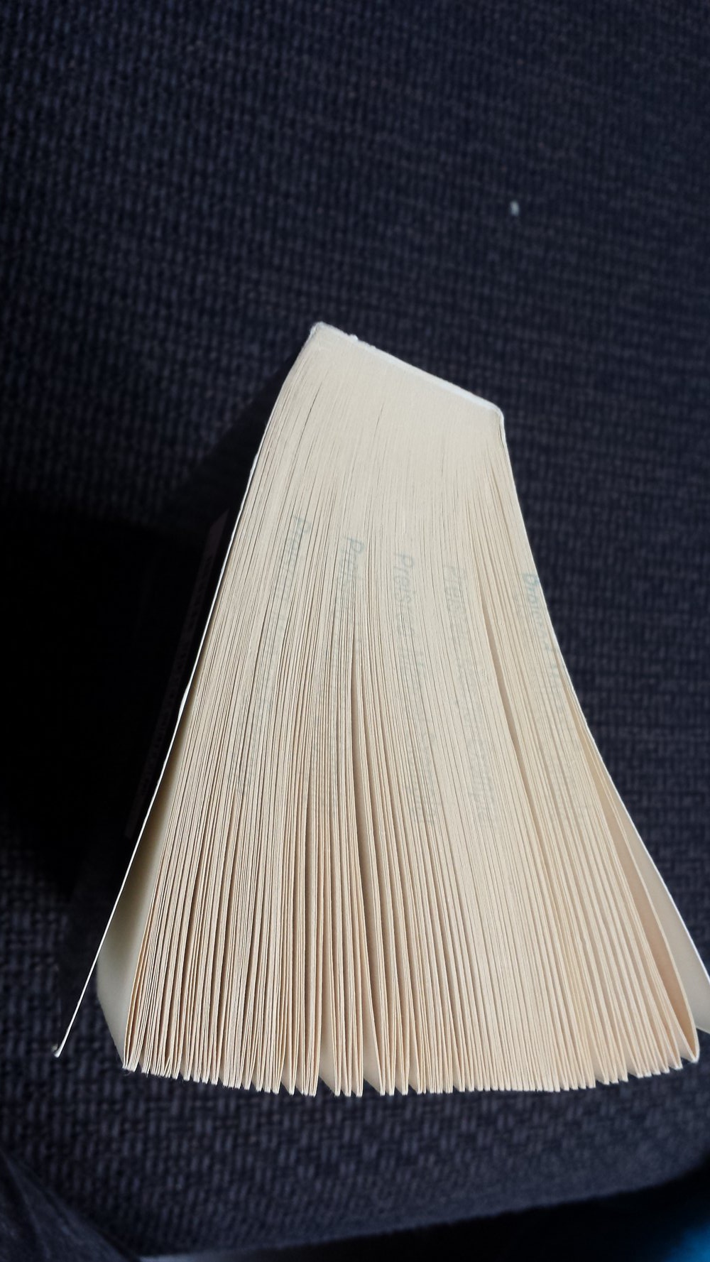 V.C Andrews Im Schein  des Mondes