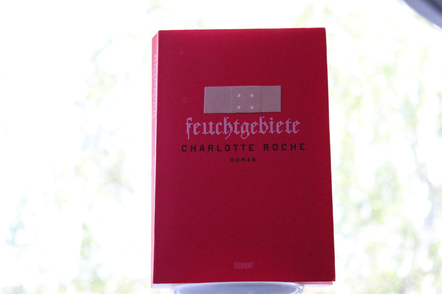 Feuchtgebiete Charlotte Roche