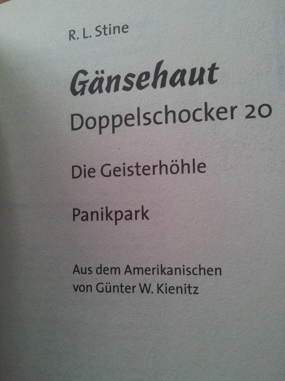 Gänsehaut - Doppelschocker 20 - R.L. Stine- 2in1 Taschenbuch