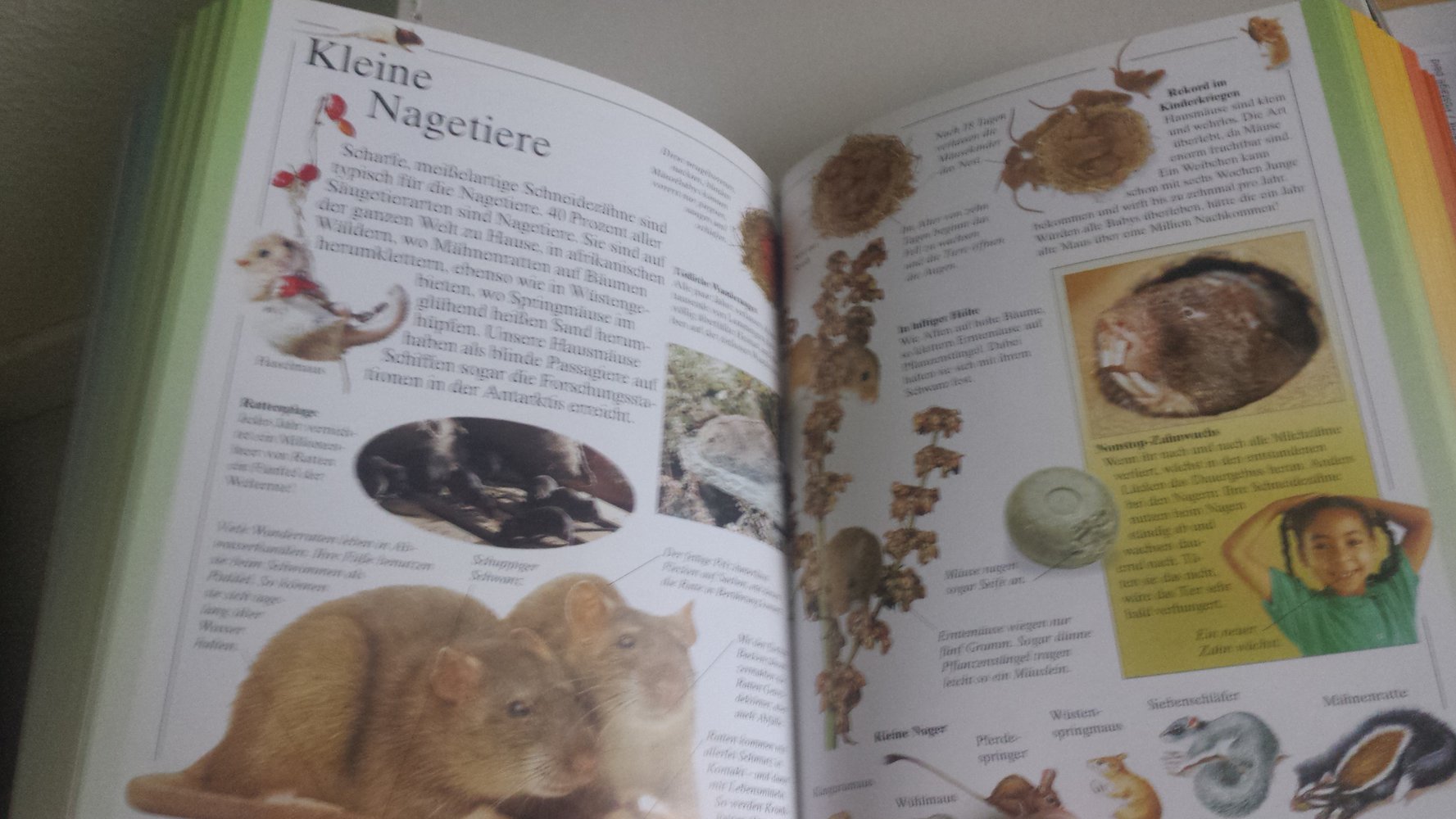 Mein großes Buch des Wissens