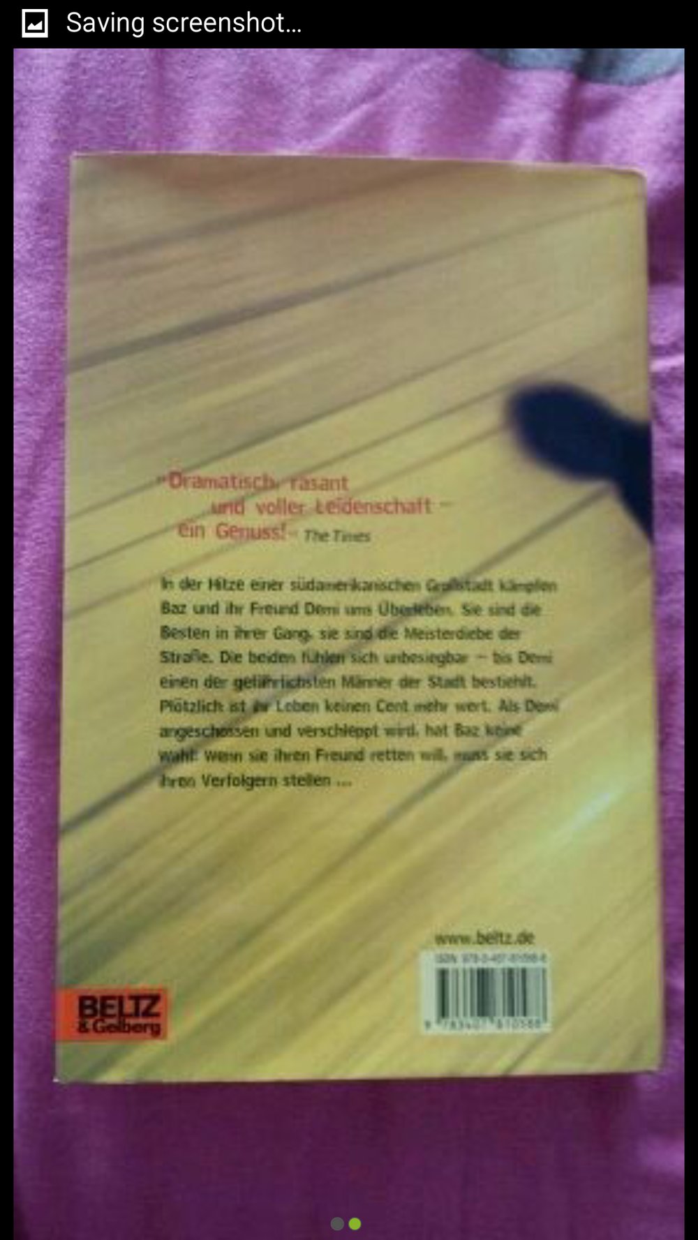 Diebe! - Will Gatti