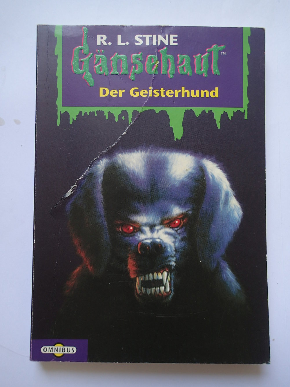Zu verschenken: Gänsehaut - Der Geisterhund