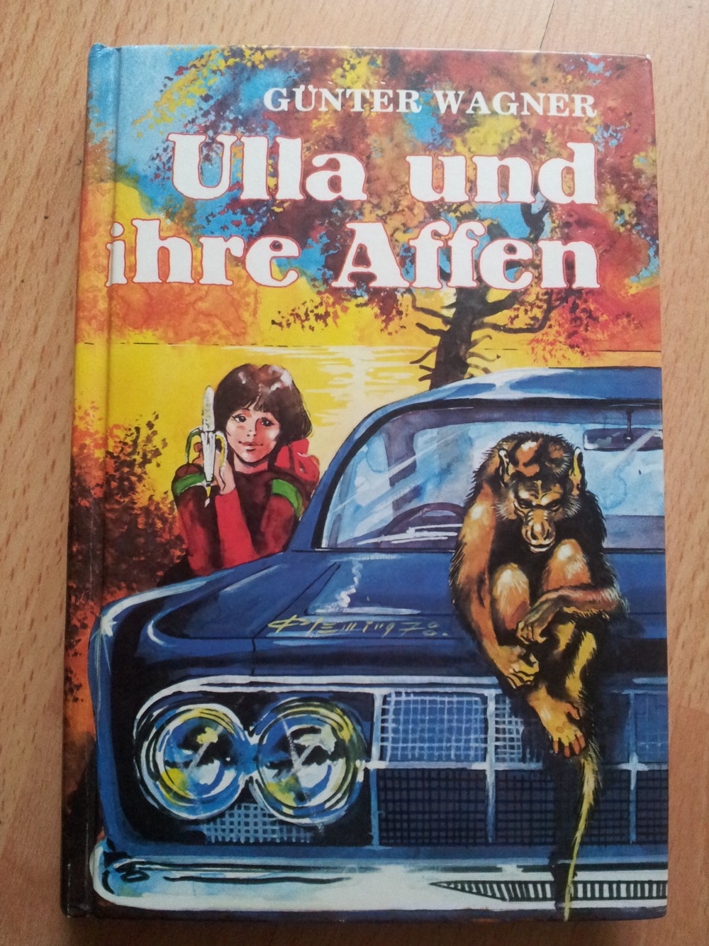 Buch - Ulla und ihre Affen - Günter Wagner