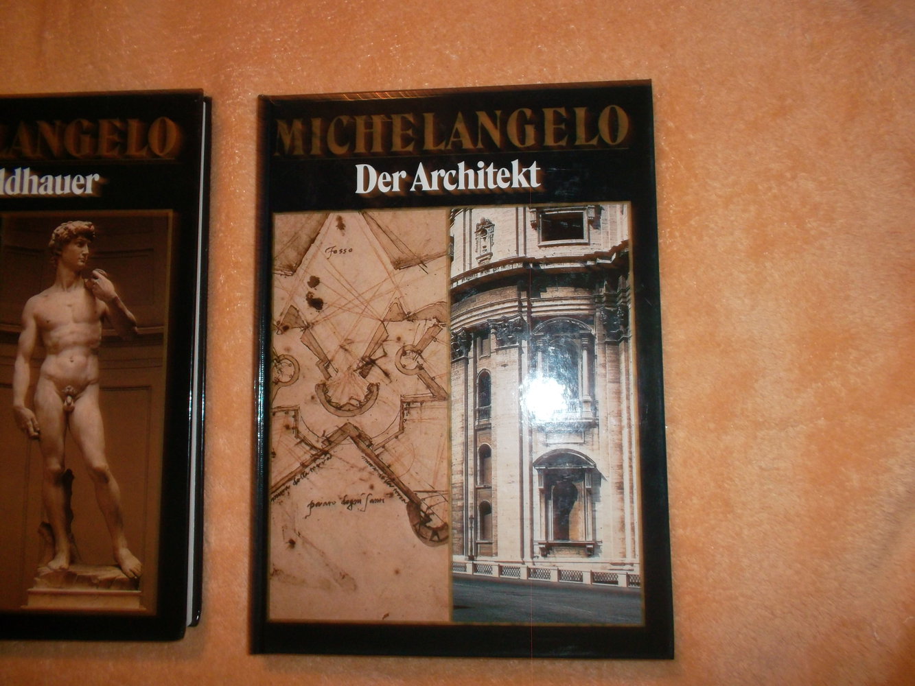 bücher,michelangelo,1988