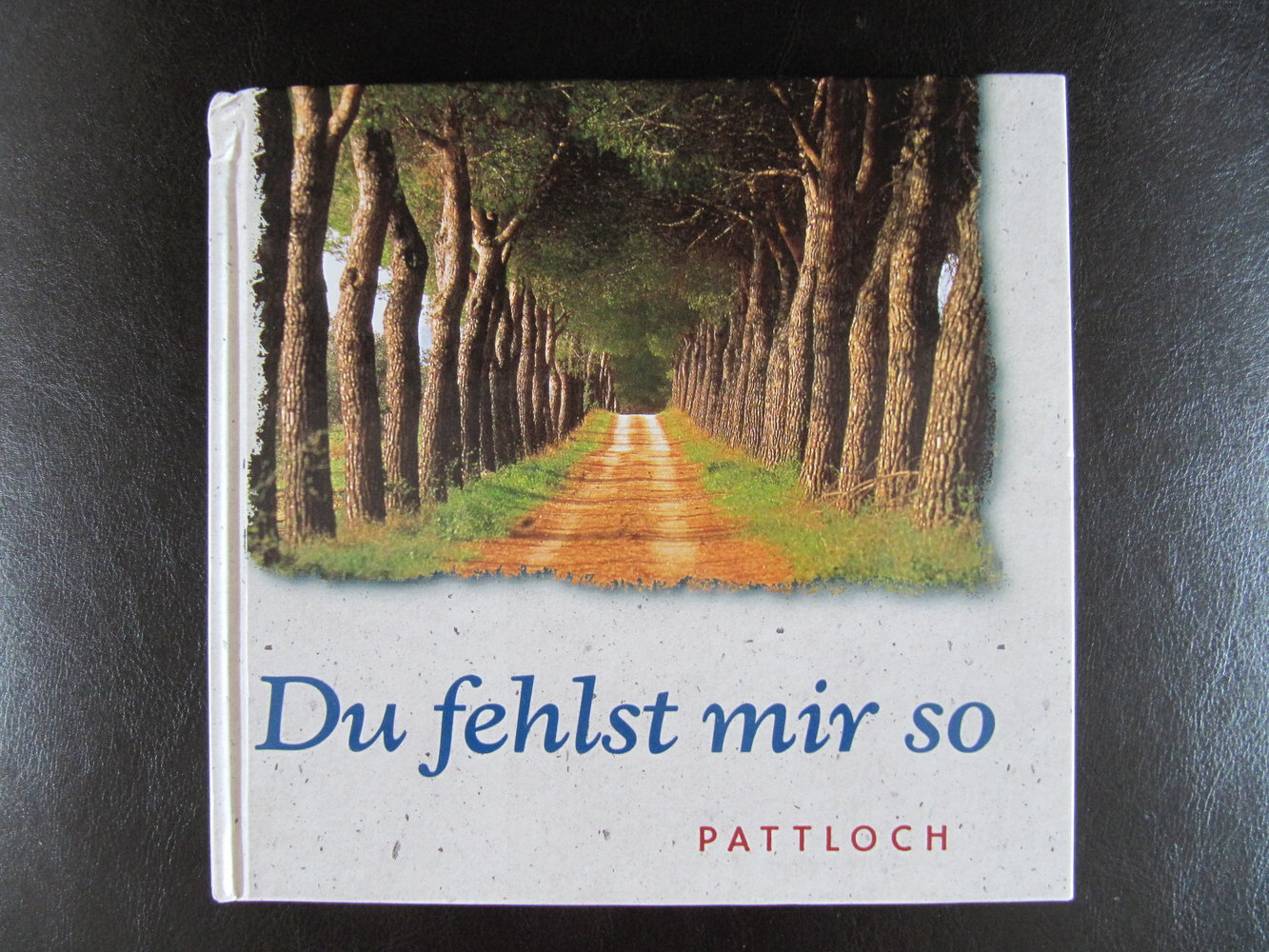 Du fehlst mir so