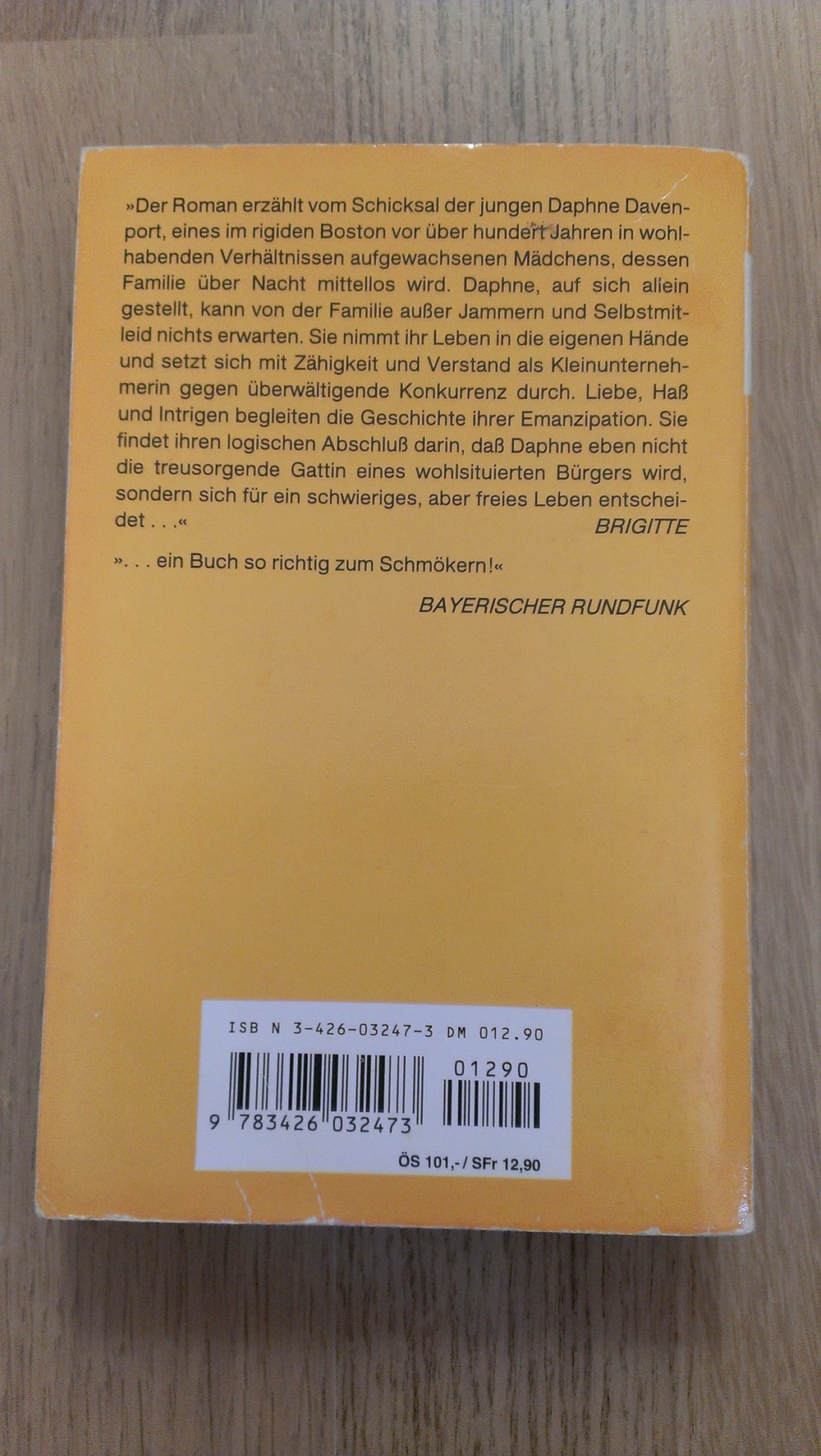 Roman Fluss der Träume von Ashley Carrington