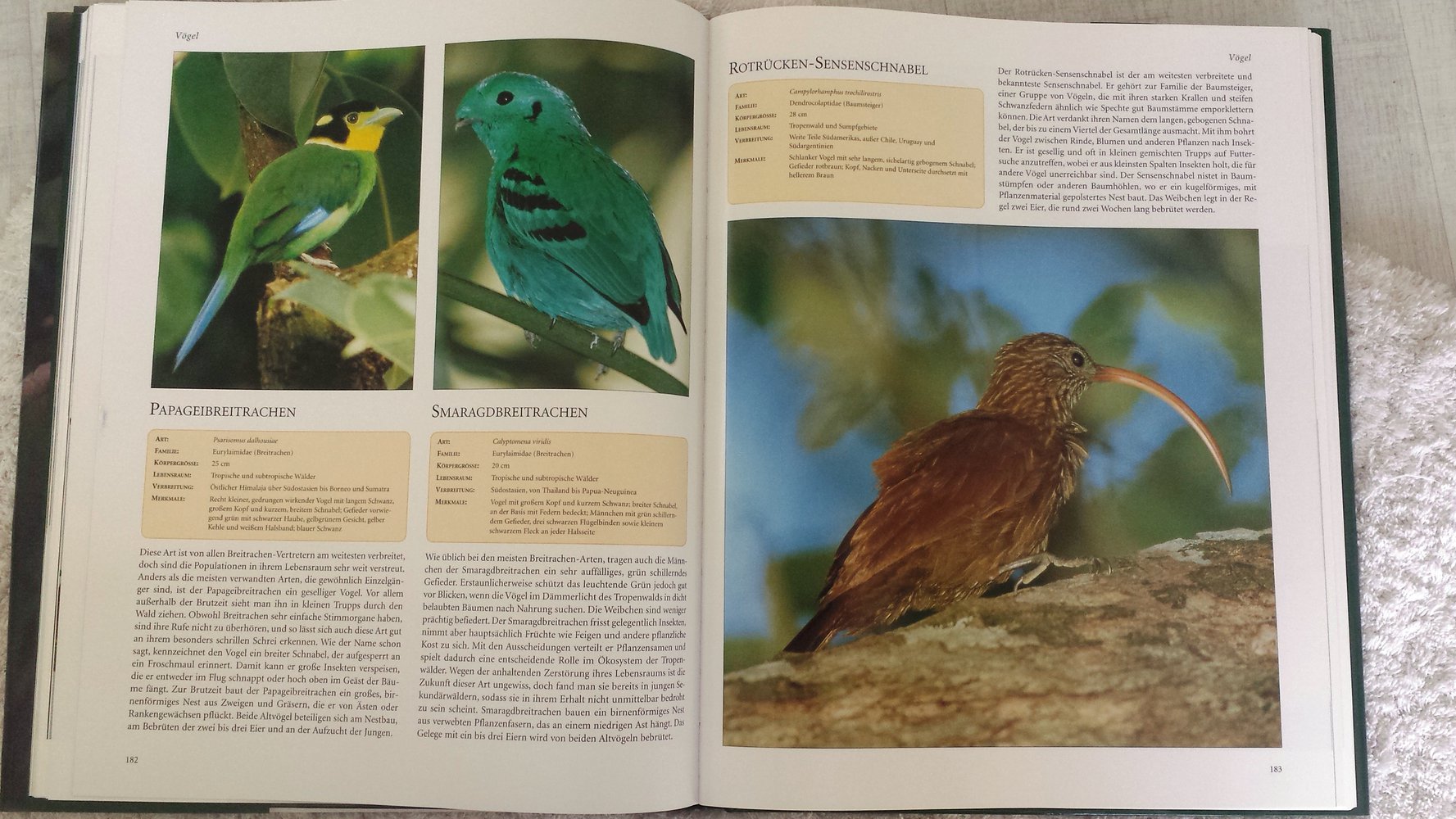 Vögel - Über 4000 Arten aus aller Welt