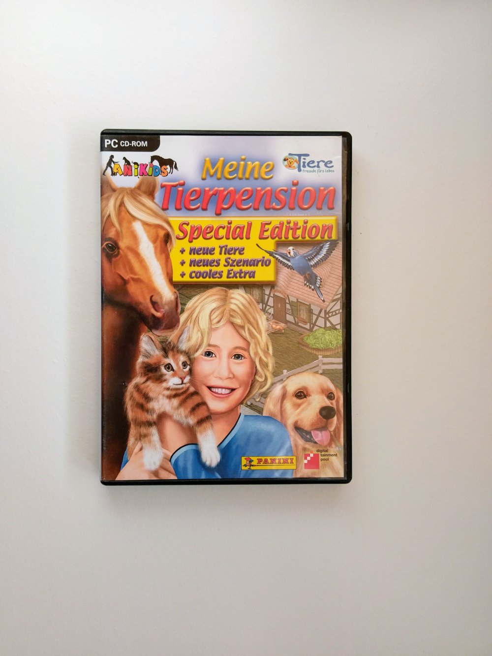 PC-Spiel 