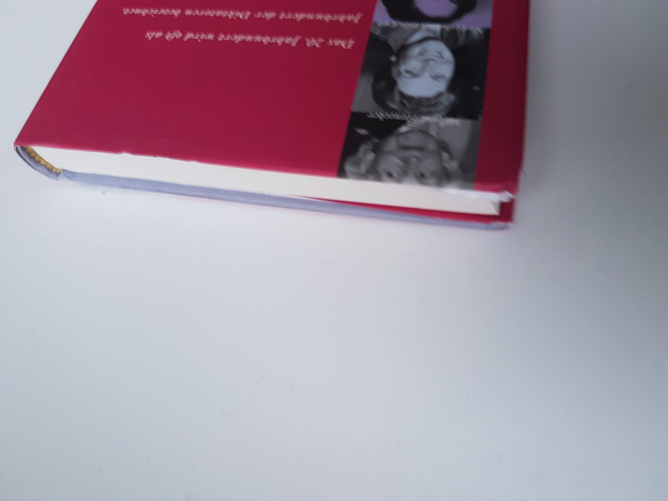 Im Bund mit der Macht von Antje Windgassen ISBN 3593369001