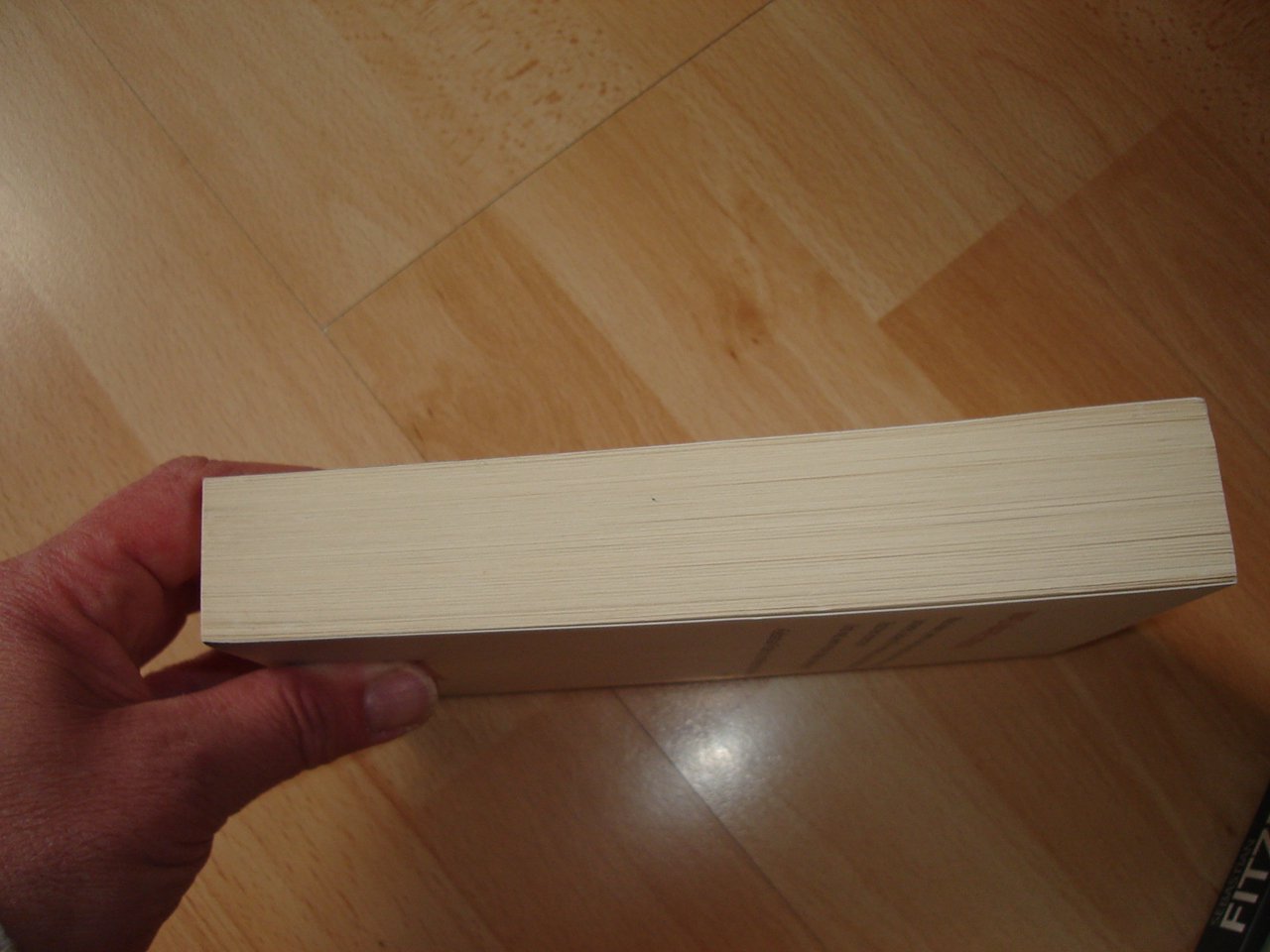 Splitter - Sebastian Fitzek - Taschenbuch - Neuwertig - 2010