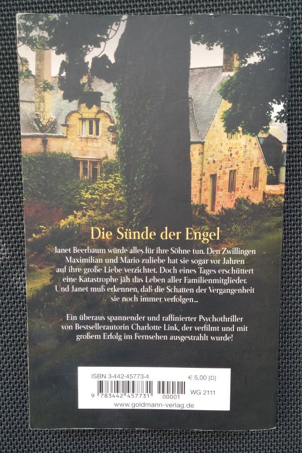 Die Sünde der Engel