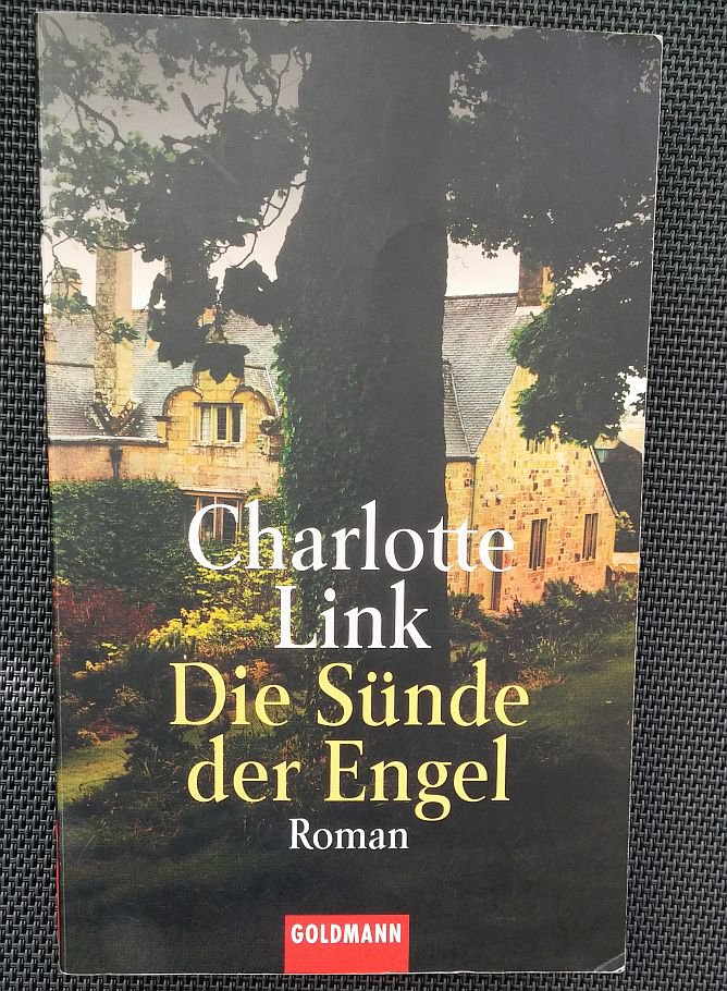 Die Sünde der Engel