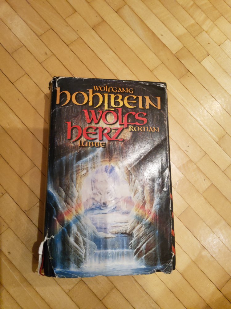 Hohlbein Fantasy Wolfsherz