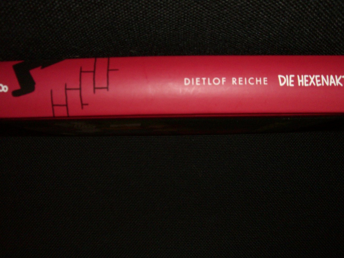 Buch Die Hexenakte 