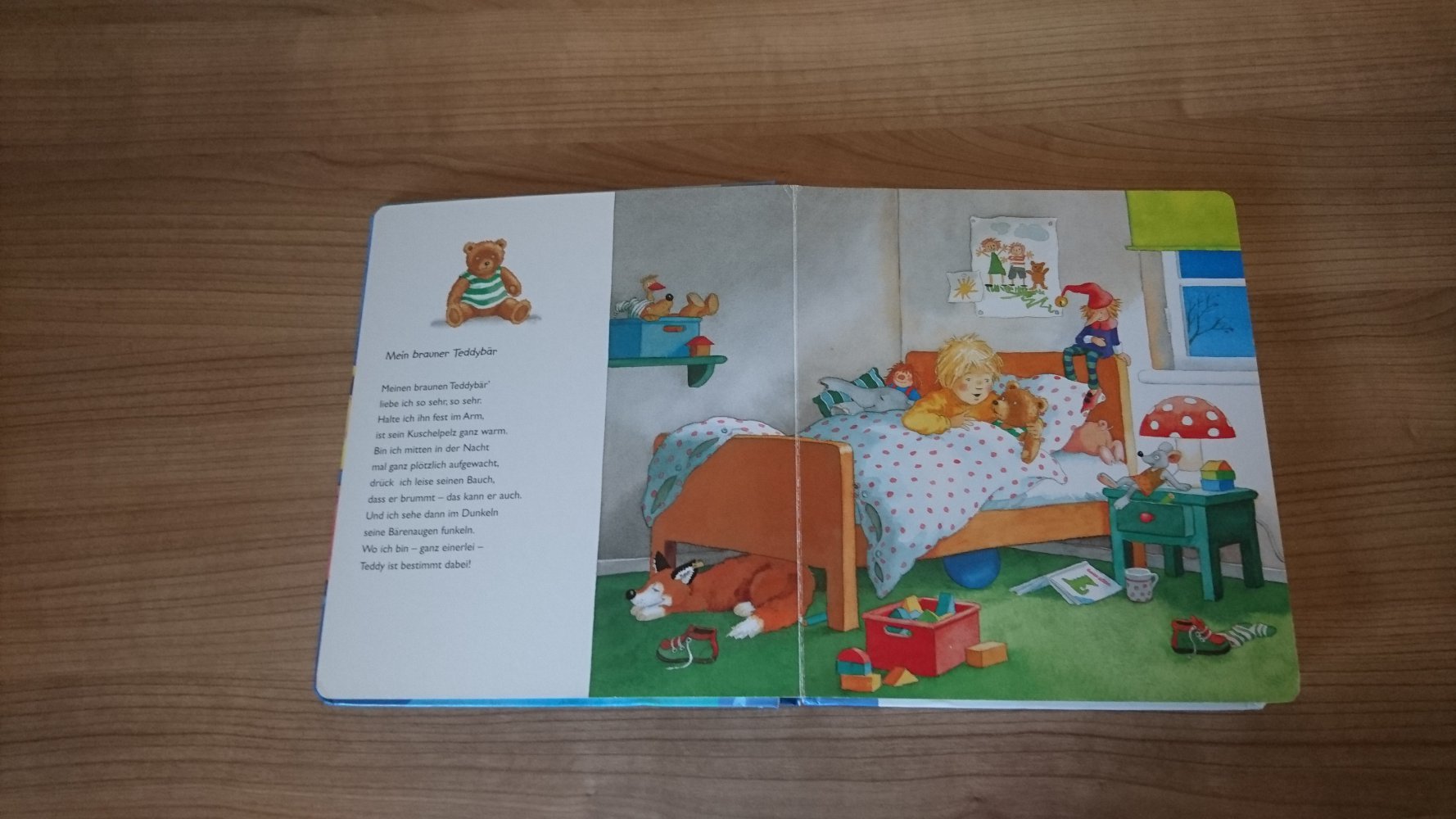 schönes kartoniertes Buch 
