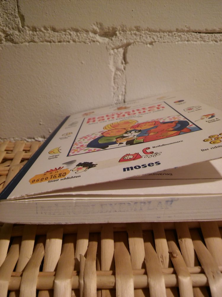 Das Babysitterhandbuch