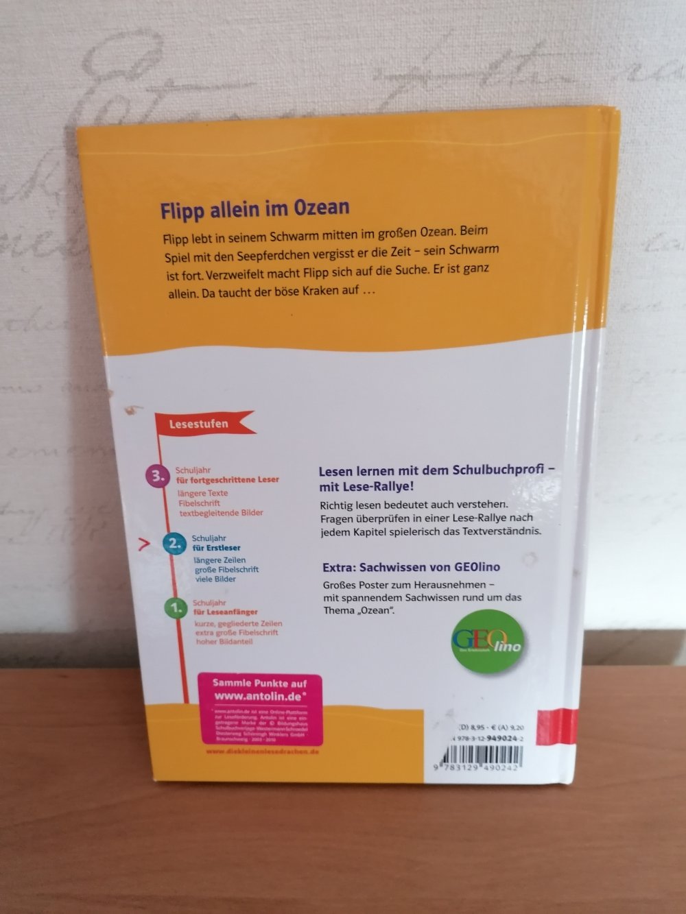 Flipp allein im Ozean