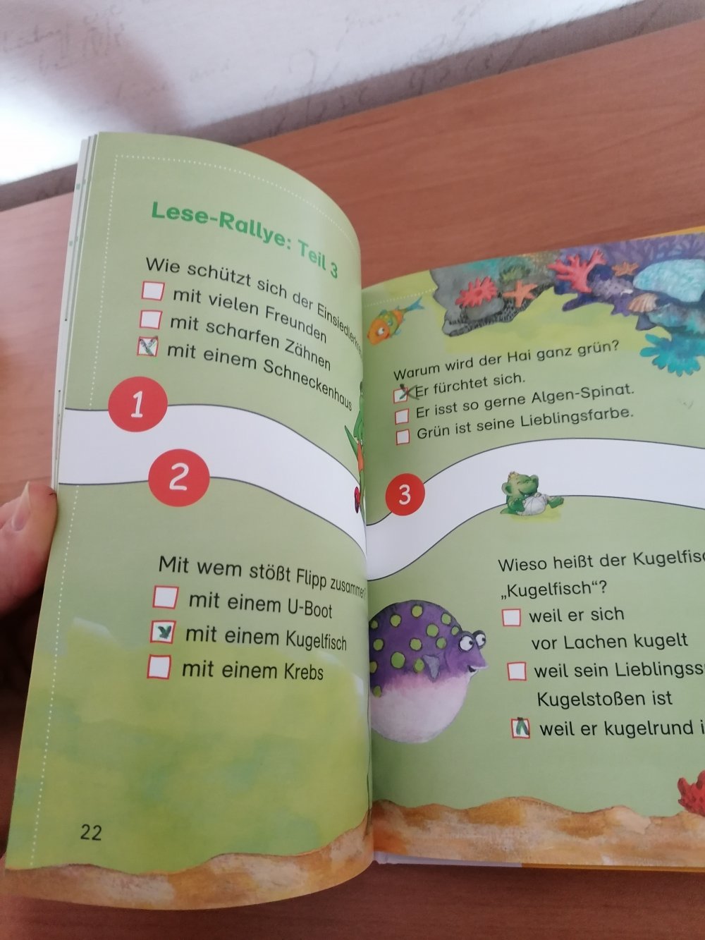 Flipp allein im Ozean