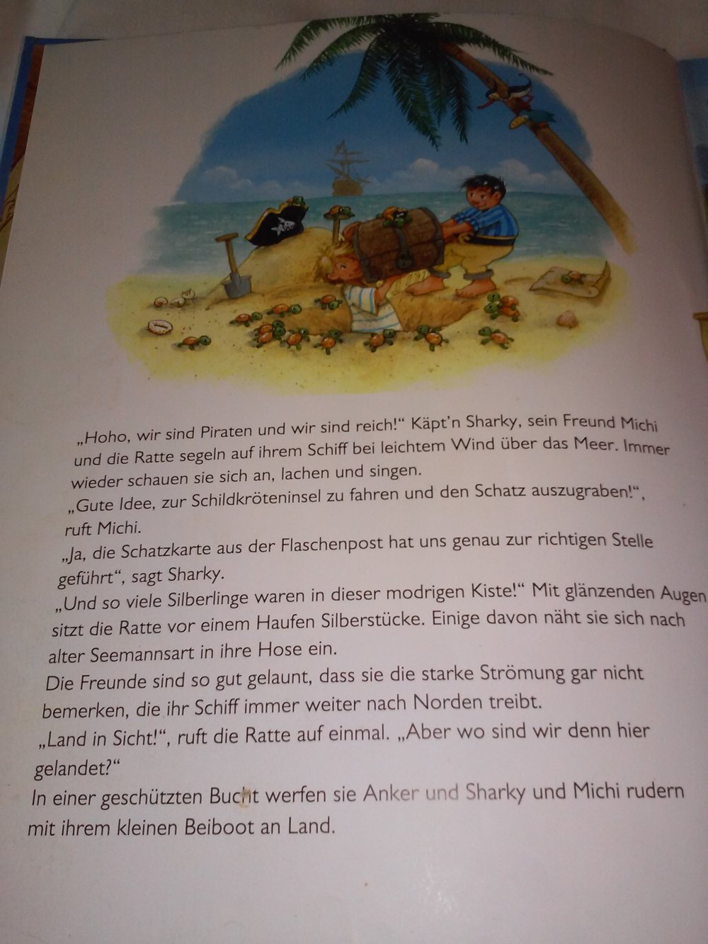 Jutta Langreuter: Käpt'n Sharky bei den Wikingern