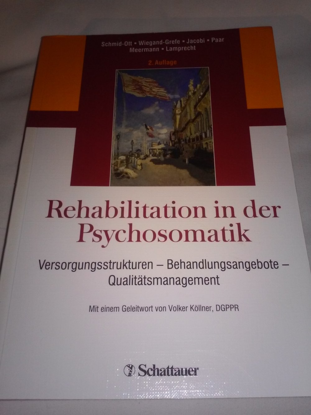 Rehabilitation in der Psychosomatik: Versorgungsstrukturen - Behandlungsangebote - Qualitätsmanagement