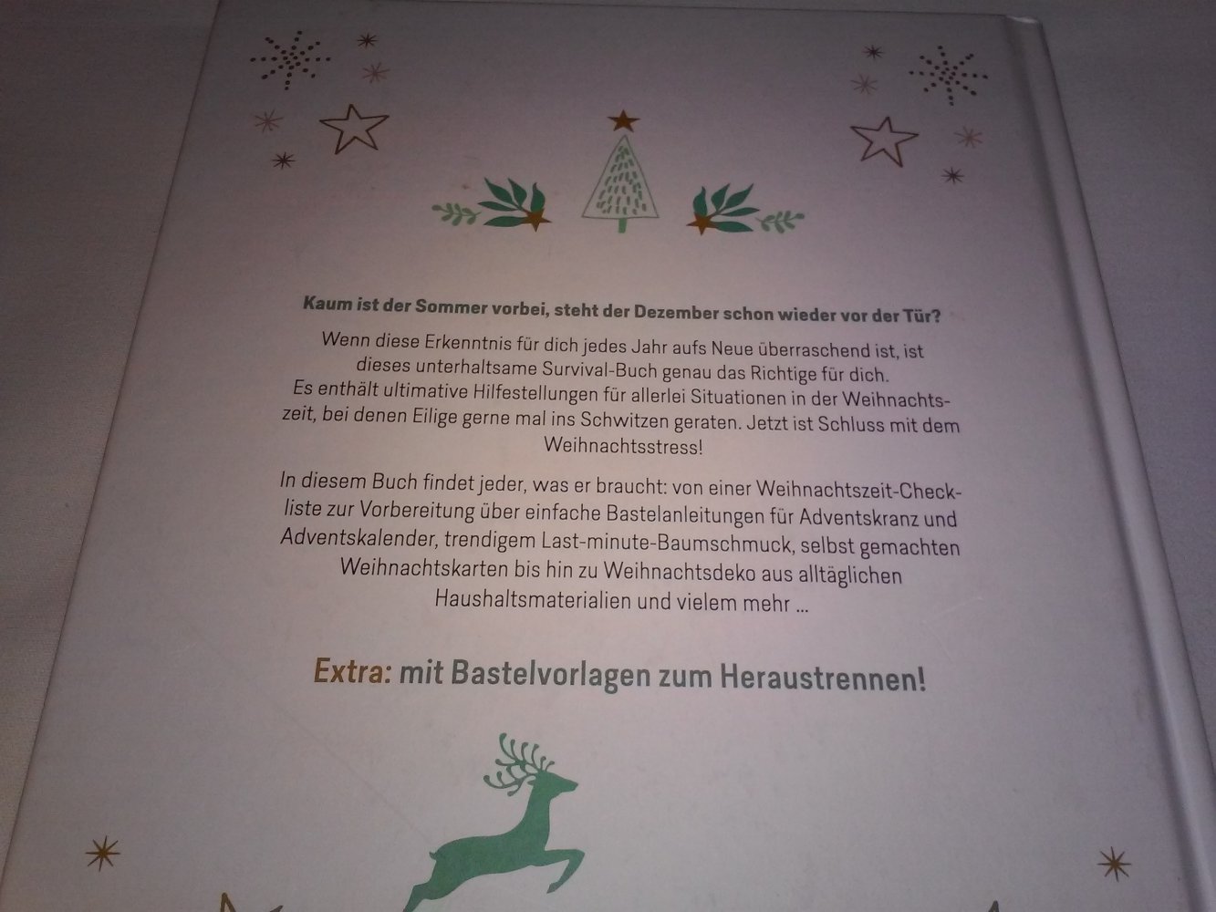 Weihnachten kommt immer so plötzlich!: Das große Buch der Last-Minute-Ideen