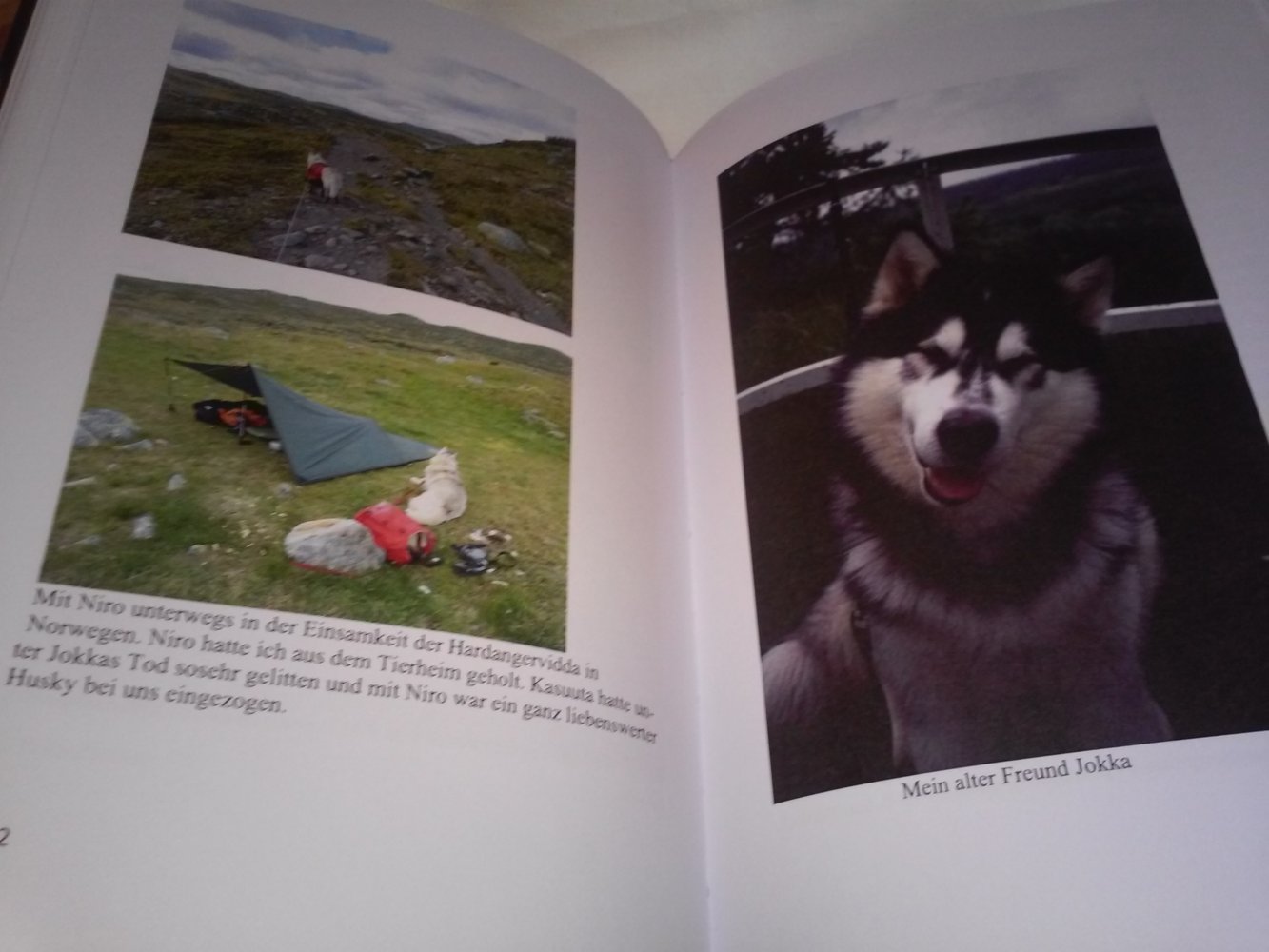 Jokka: im Nordland und andere Schlittenhunde Geschichten