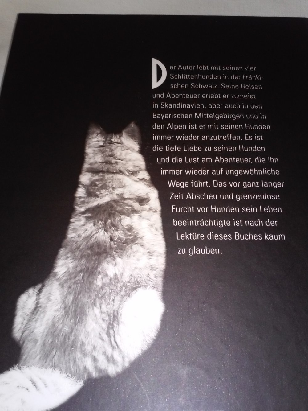 Jokka: im Nordland und andere Schlittenhunde Geschichten