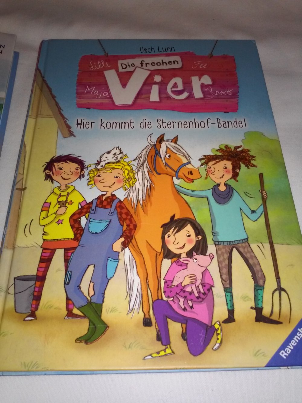 Die frechen Vier/Die Förde-Detektive (je Bd.1)Kinder-Krimi