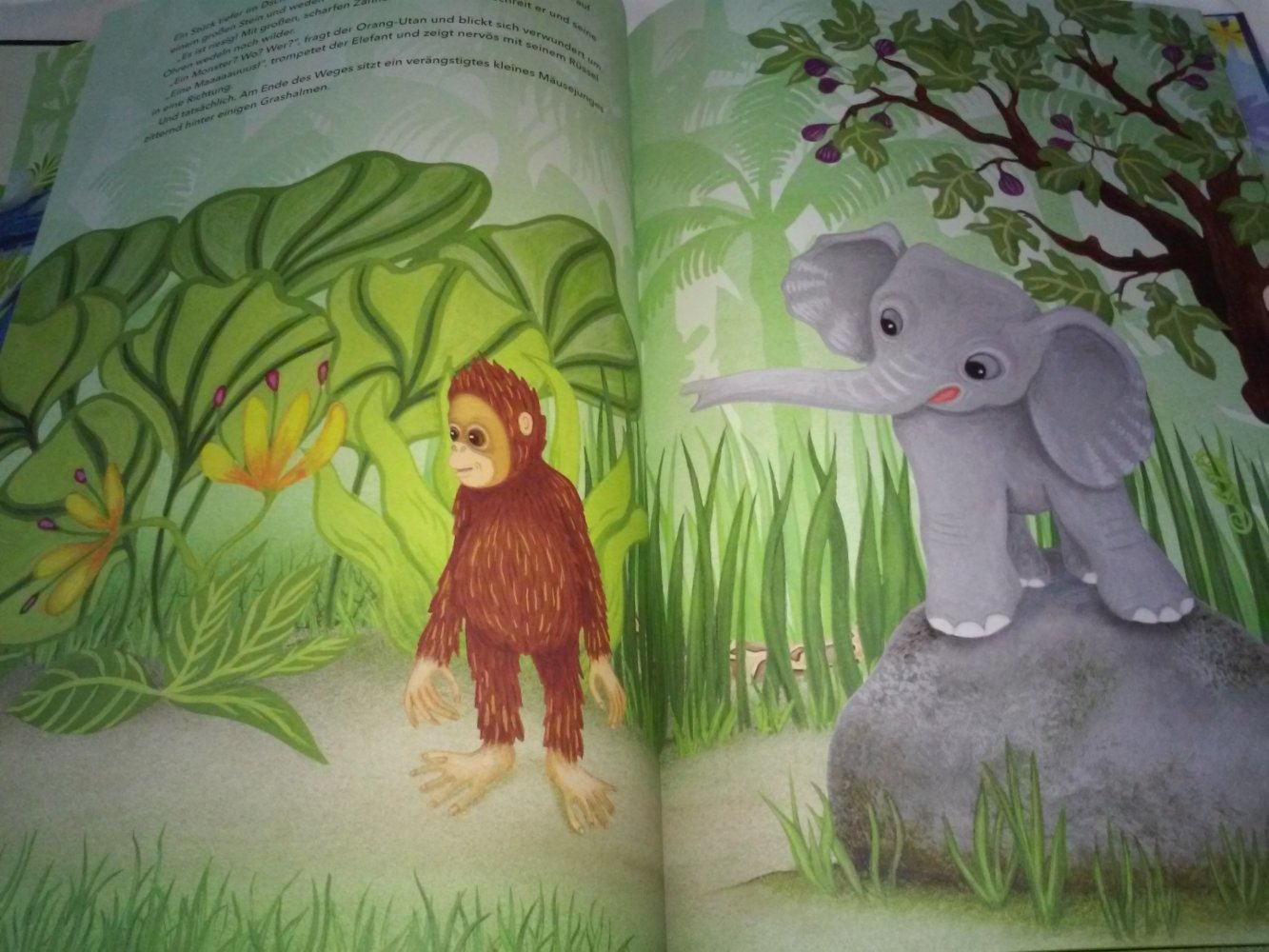 Neu! Sophie Holmqvist: Der Orang-Utan fürchtet sich