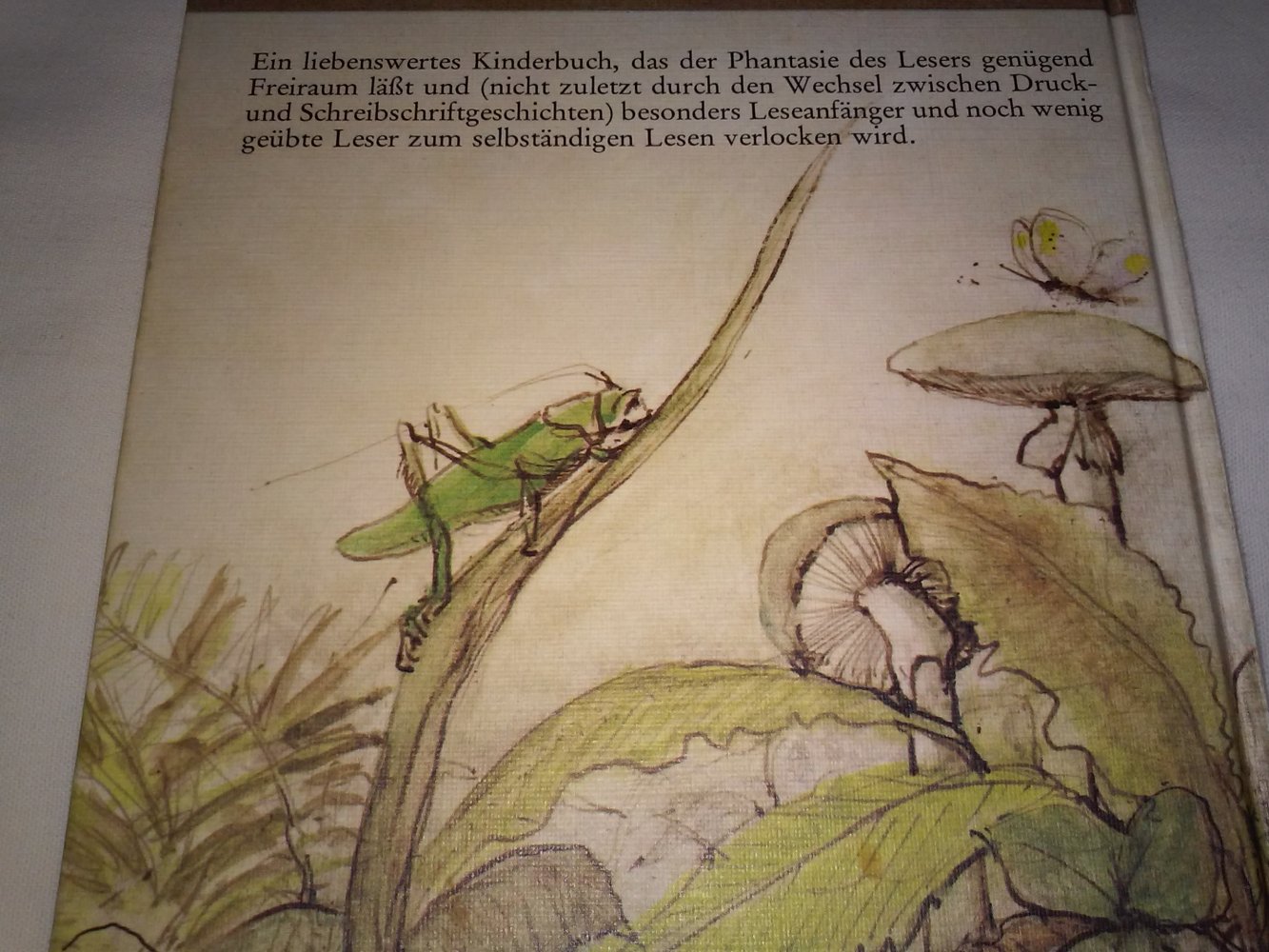 Wilhelm Topsch: Alle Tage Burztag (Waldwichtel) - Kinderbuch alt